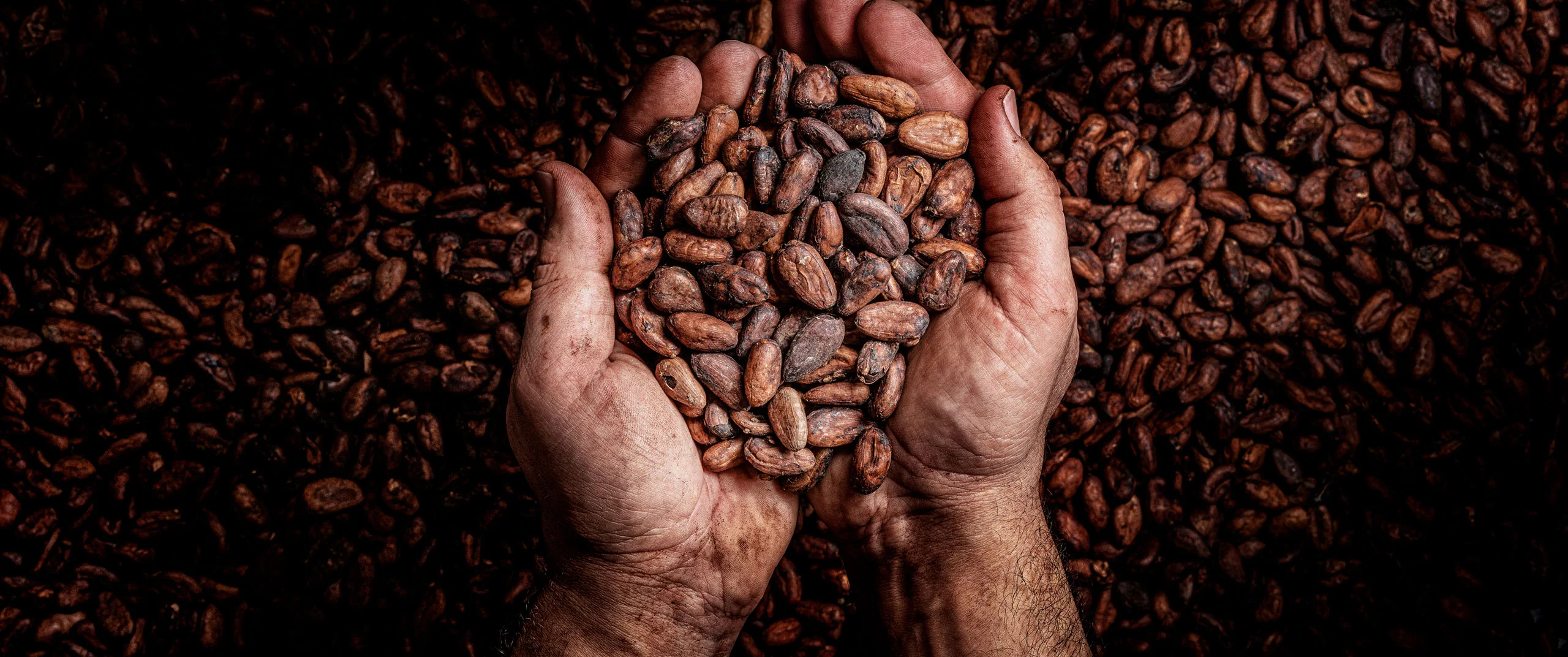 La qualità nasce dal rispetto:  del cacao, della terra, delle persone.